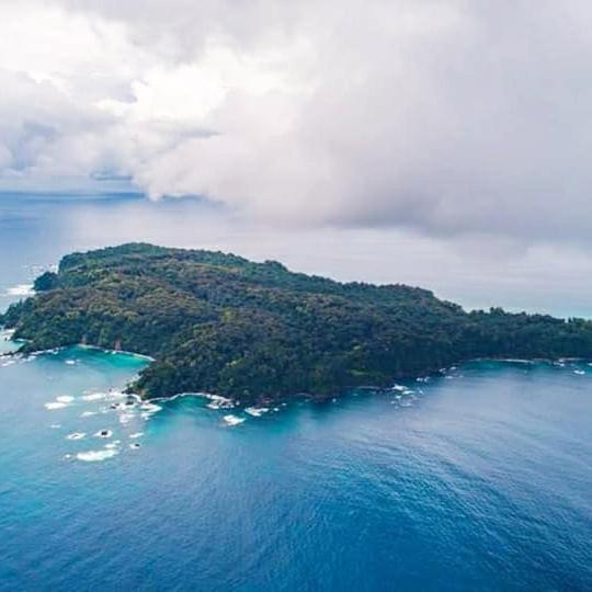 Cabinas Manolo Drake Bay, Ocean And Forest View Екстериор снимка